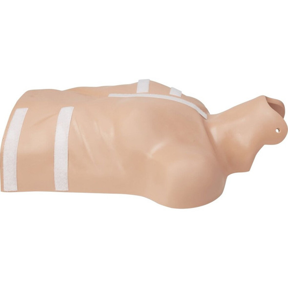 ZOLL CPR-D Demo Manikin - Green - 1 Each 8000083501 SPR-ZOL8000083501