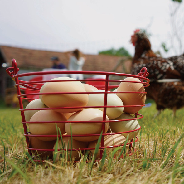 Stromberg's Large Red Egg Basket