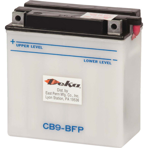Deka 12-Volt 9 AH Powersport Battery, Left Front Positive Terminal YB9BFP