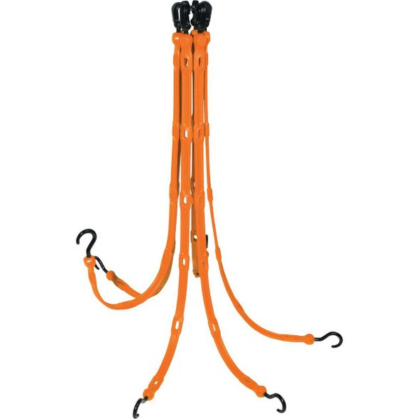 The Perfect Bungee Perf Bunge Flexweb Ng FW36-6NG