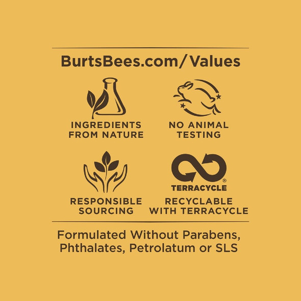 Burt's Bees 4pk Fruit Lip Balm 02578 619101