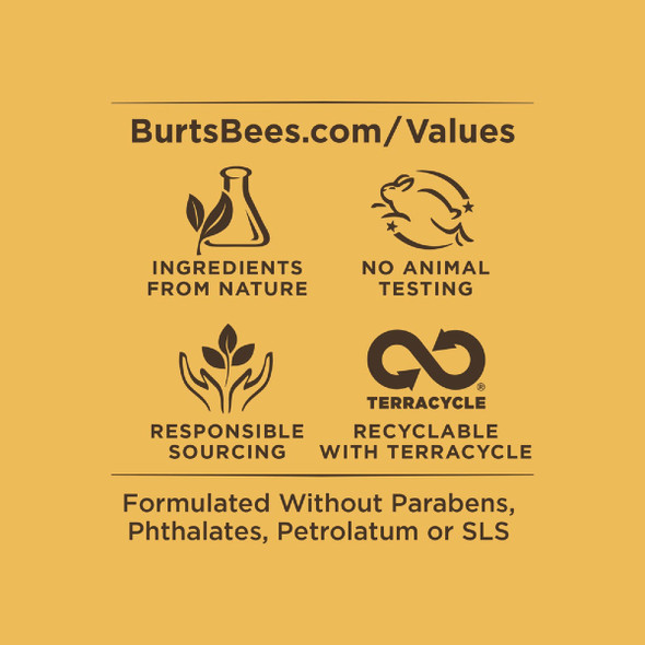 Burt's Bees 4pk Fruit Lip Balm 02578 619101
