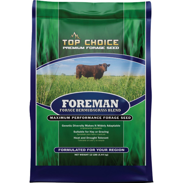 Mountain View Seeds 12 Lb. Foreman Bermudagrass I114185