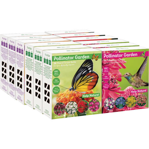 TotalGreen Holland Pollinator Bulb Collection BGS-012 Pack of 12