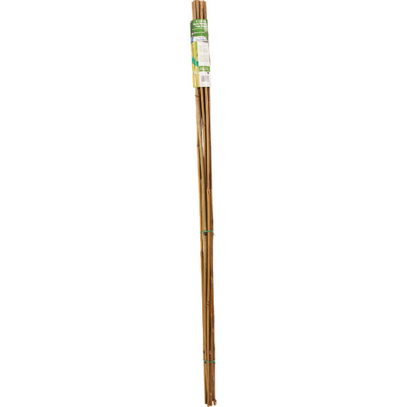 Gardener's Blue Ribbon 4 Ft. Bamboo Plant Stake (12-Pack)