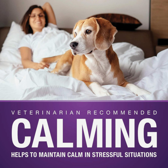 VetIQ 7.4 Oz. Calming Dog Chew (60-Pack) 183172 767882