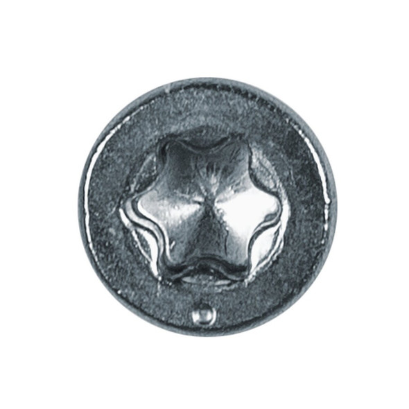 Deck-Drive Type316 10x2.5 Ss Screw T10250WPP 255896