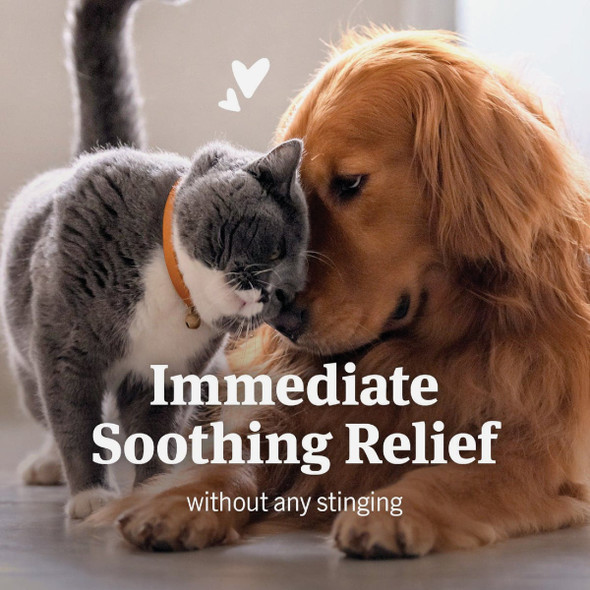 PetArmor 4 Oz. Anti-Itch Spray for Dogs & Cats 183108 733388