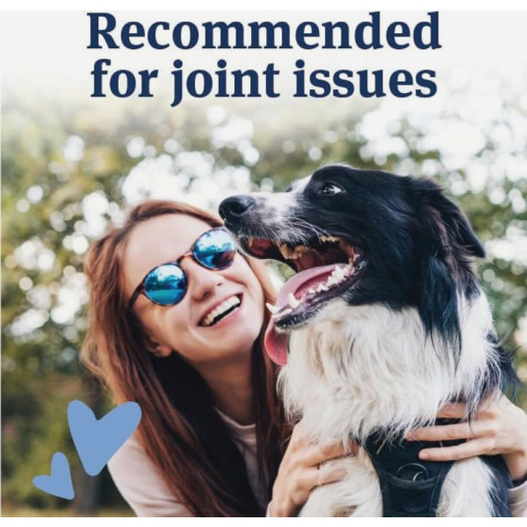 PetArmor 10 to 50 Lb. Canine Aspirin Tablets (75-Pack)