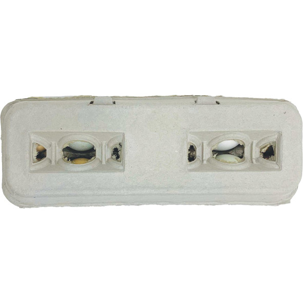 Stromberg's Large Blank Egg Carton (25-Count) PP212