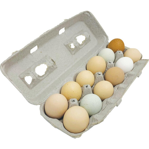 Stromberg's Large Blank Egg Carton (25-Count) PP212 737264
