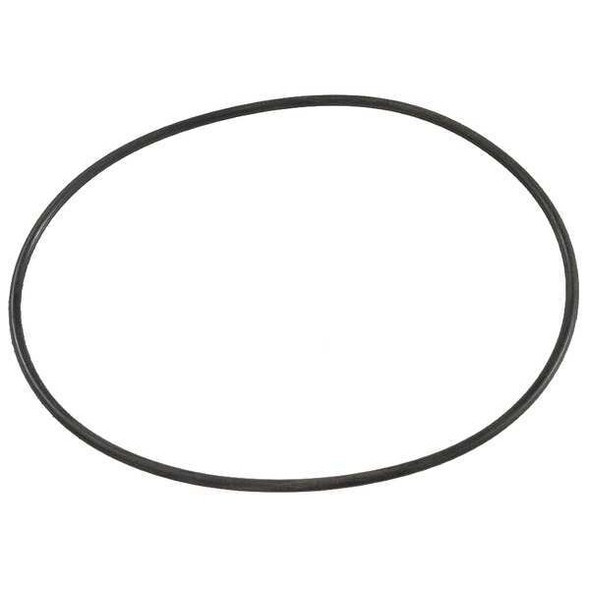 Dayton Pump Casing O-Ring 200800180