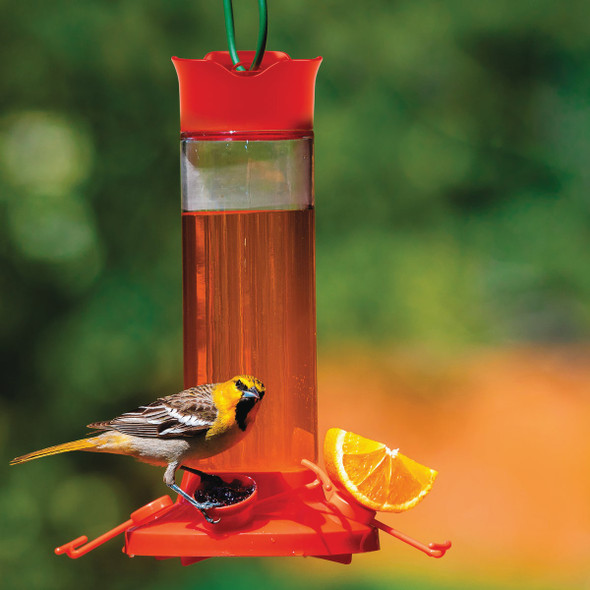 Perky-Pet 27 Oz. Plastic Vine Oriole Feeder