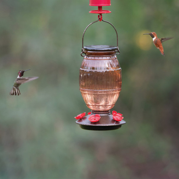 Perky-Pet 36 Oz. Prohibition Top-Fill Glass Hummingbird Feeder 9106-2 749587
