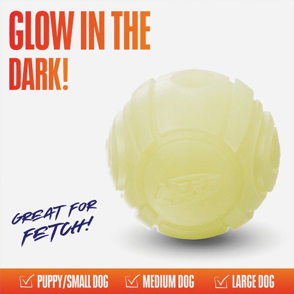 Nerf Dog 2.5 In. TPR Glow Sonic Ball