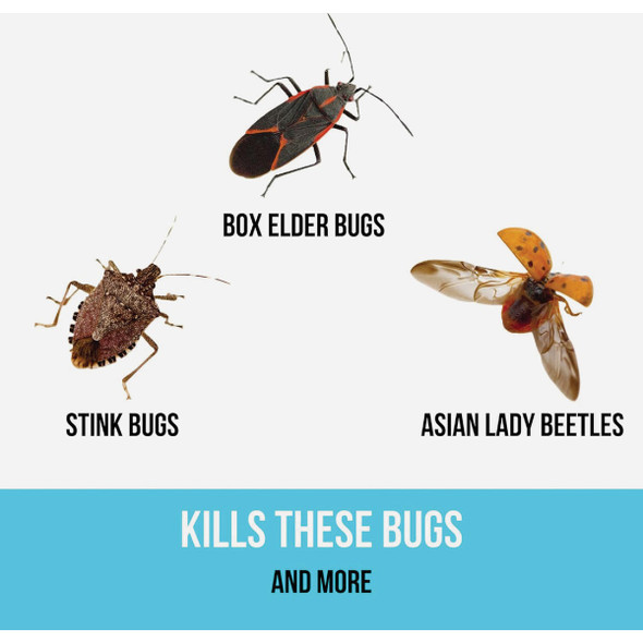 Bugg BUGGSLAYER 8 Oz. Concentrate Insecticide 40008 760617
