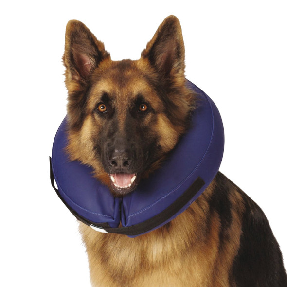 Total Pet Health Large Blue Inflatable Pet Collar