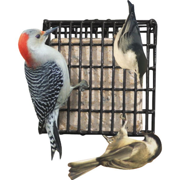 Suet Plus Berry & Peanut Suet (20-Pack) 282 743894