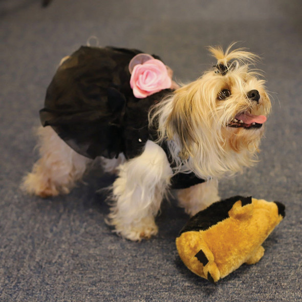 Boss Pet Digger's Hedgehog Plush