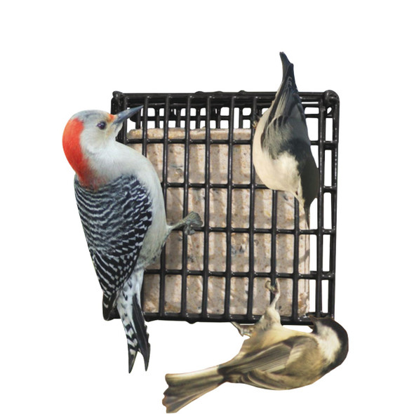 Suet Plus Berry & Peanut Suet (10-Pack) 290 740544