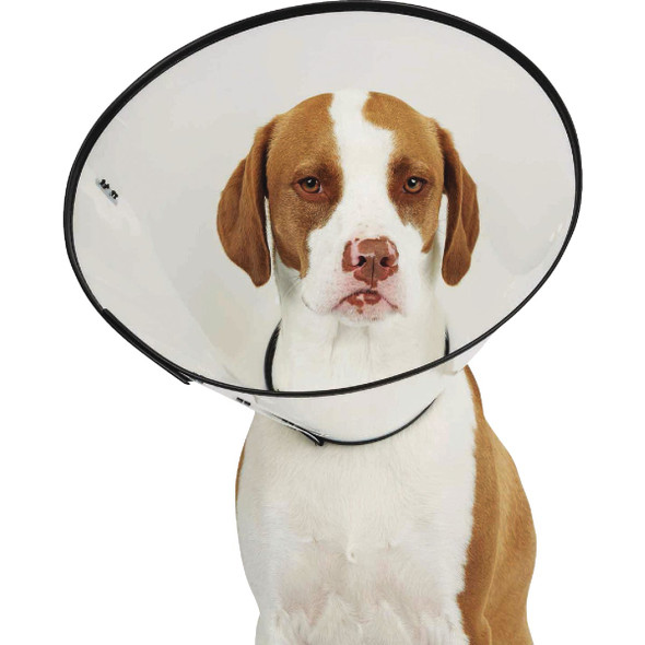 Total Pet Health Medium 11.5 In. Clear E-Collar TP7167 14 11 724977
