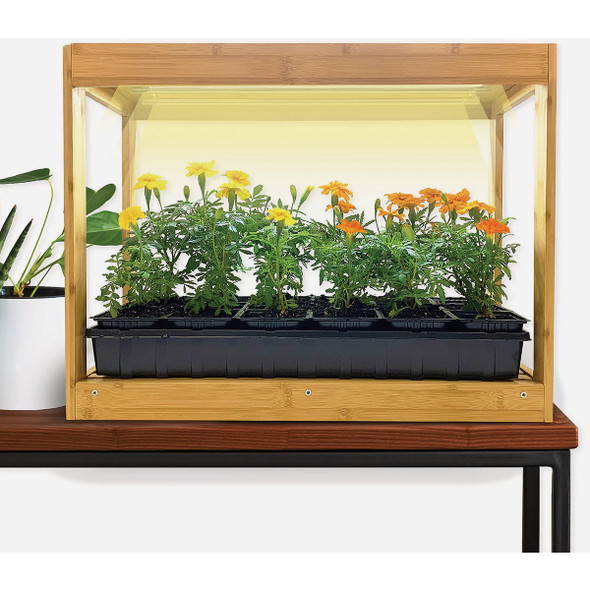 Ferry Morse Bamboo Modern Indoor LED Growhouse KBAM Pack of 5 735629