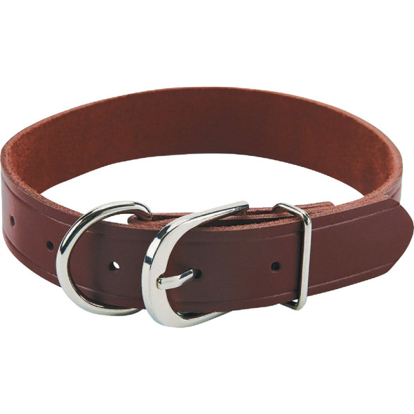 Boss Pet Guardian Gear 1 In. x 13 to 17 In. Leather Hunting Dog Collar 30021