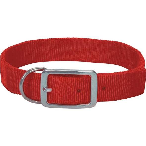 Boss Pet Guardian Gear 1 In. x 14 to 17 In. Nylon Hunting Dog Collar 2051924