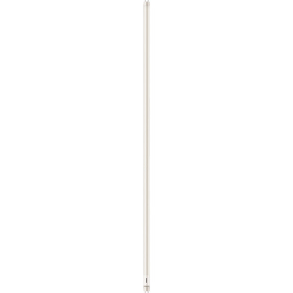 Philips 2pk8' 60w T8 Dd Led Tube 590679 Pack of 5