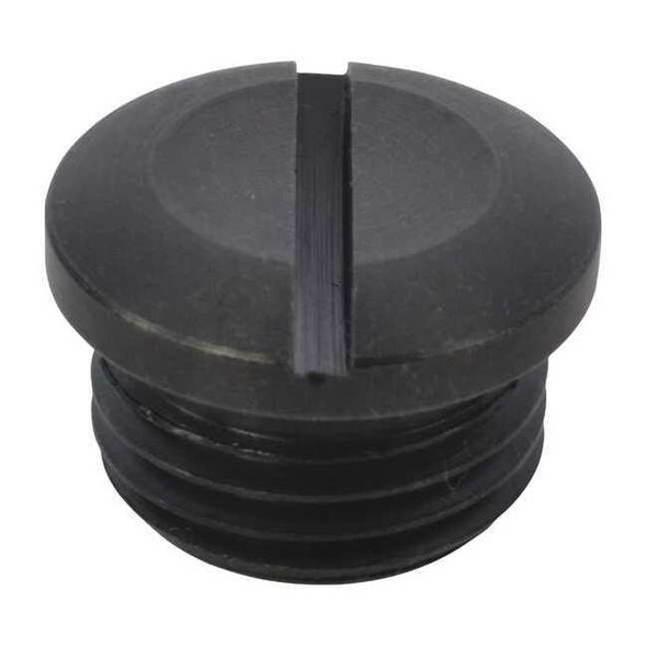 Speedaire Valve Cap TTR4420406G