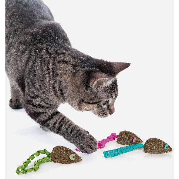SmartyKat Magic Mice Compressed Catnip and Ribbon Cat Toy (3-Pack)