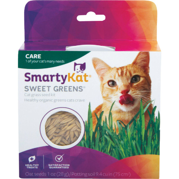 SmartyKat Sweet Greens 1 Oz. Organic Oat Grass Cat Grass Grow Kit