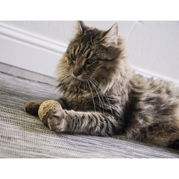 SmartyKat Catnip Kiss Compressed Catnip Ball Cat Toy