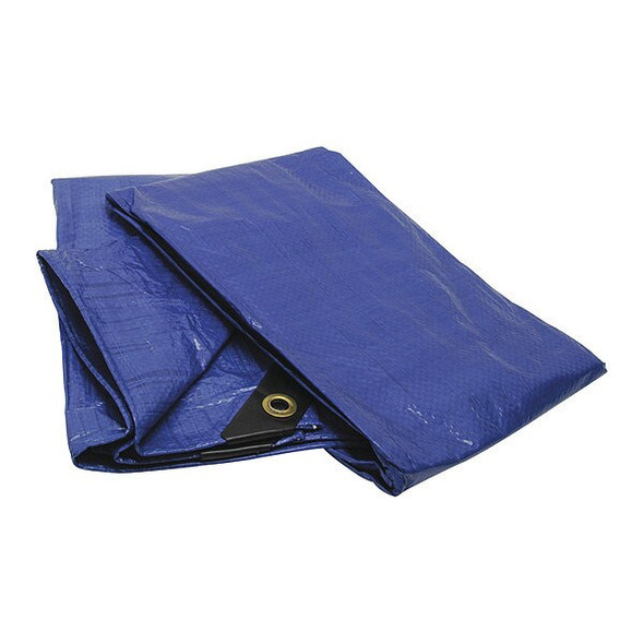 Roadpro 6 ft x 8 ft Tarp, Blue RPTP-68