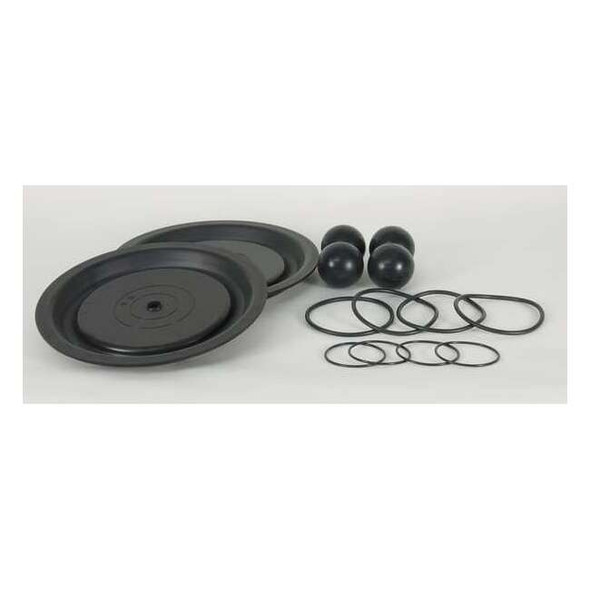 Dayton Fluid End Repair Kit, Santoprene Ball 22A616