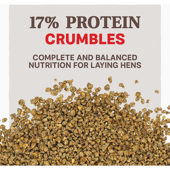 Kent Home Fresh Extra Egg Layer 50 Lb. Crumble Feed 3661 723475