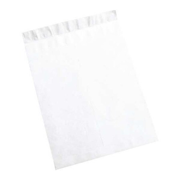 Tyvek Flat Envelopes,18x23",PK100 TYF1823WS Tyvek Flat Envelopes,18x23",PK100 TYF1823WS