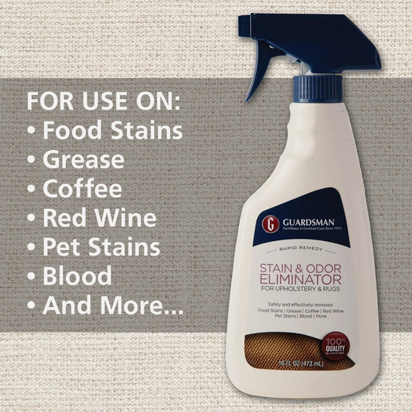 Guardsman 16 Oz. Stain & Odor Eliminator 462600 642933