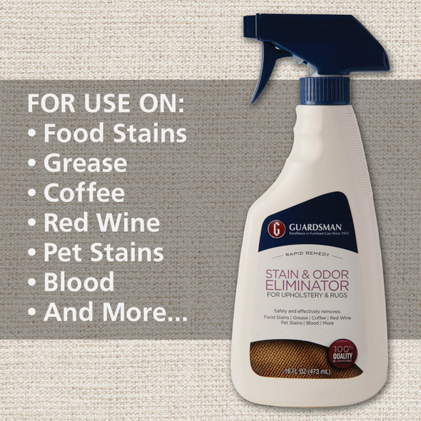 Guardsman 16 Oz. Stain & Odor Eliminator 462600 642933