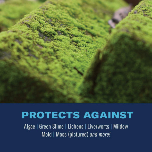 BioAdvanced 2-In-1 32 Oz. Ready To Spray Moss & Algae Killer with HPX Sprayer 704710B 749065