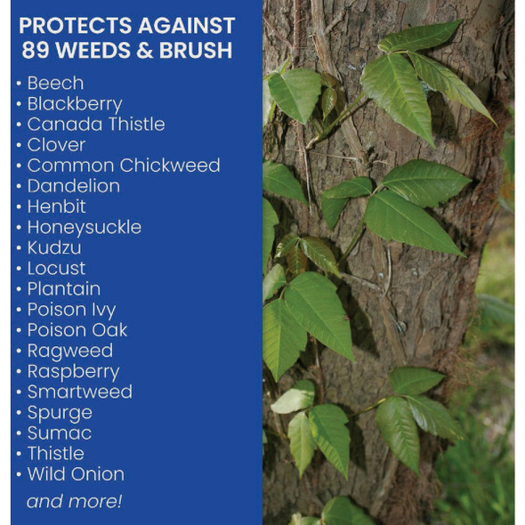 BioAdvanced Brush Killer Plus 1 Gal. Ready To Use Trigger Spray Brush Killer