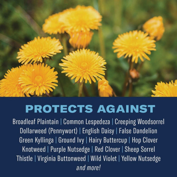 BioAdvanced 3-In-1 20 Lb. Southern Weed & Feed 820106W 726868