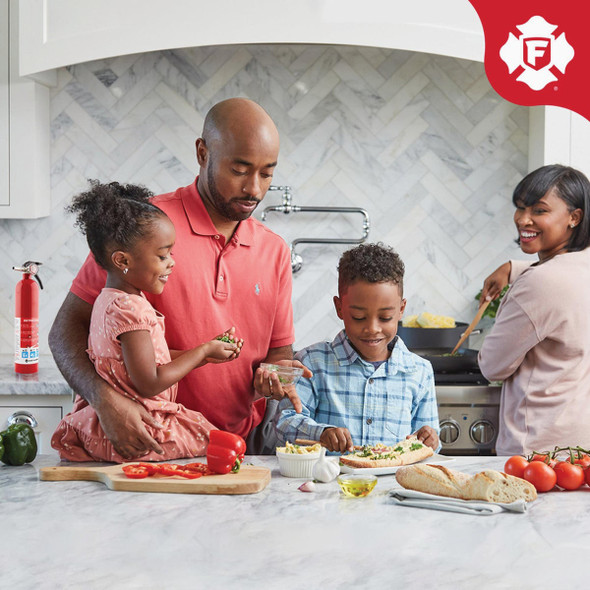 First Alert 1-A:10-B:C Rechargeable Home Fire Extinguisher