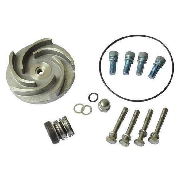 Dayton Pump Repair Kit,For 2ZWU6,2ZWU7 21TG69