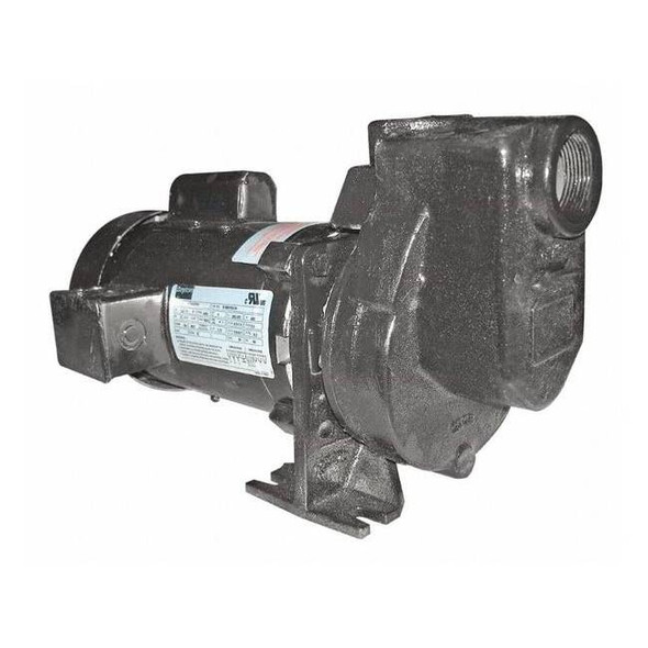 Centrifugal Pump, 3/4 hp, 115/208 to 230V AC, 1 Phase, 52 ft Max Head