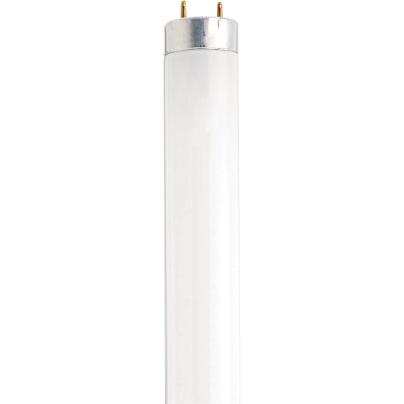 Satco 15W 18 In. T8 Bi-Pin Cool White Fluorescent Tube Light Bulb S7949