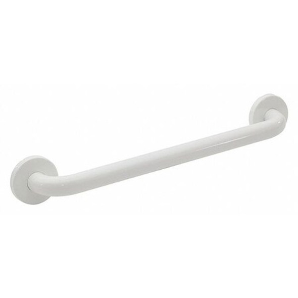 Polyester Painted Premium Grab Bar, 12" L, Stainless Steel, Polyester Painted
