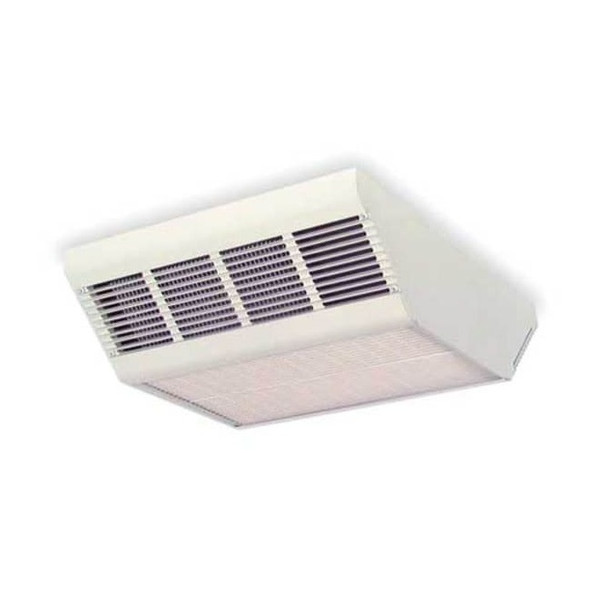 Dayton Convection Ceiling Heater,277V,13,700Btu 2YU38