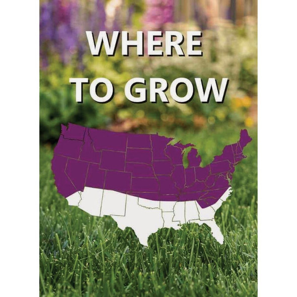 Black Beauty 25lb Heavy Traffic Seed 10980 707369