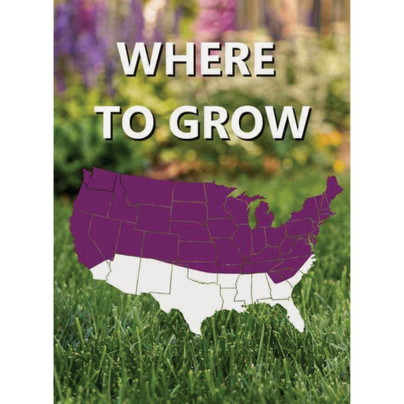 Jonathan Green Black Beauty Heavy Traffic 25 Lb. 6250 Sq. Ft. Coverage Grass Seed